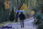توصیه هواشناسی به دیمکاران ، روند بارشی کشور در دهه اول مهر